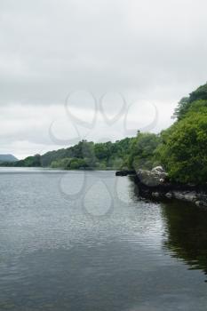 Trees along a lake, Lakes of Killarney, County Kerry, Republic of Ireland