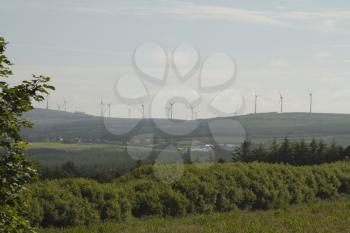 Wind turbines on a hill, Tralee, County Kerry, Republic of Ireland