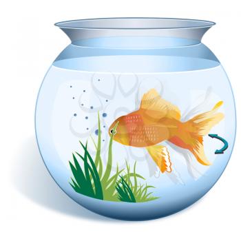 Close-up of a goldfish in a fishbowl