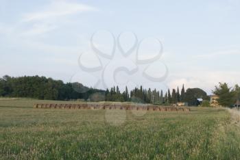 Toscana Stock Photo