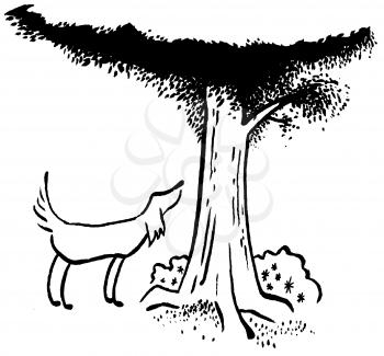 Royalty Free Clipart Image of a Dog Looking Up a Tree