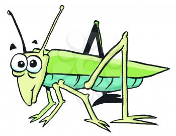 Royalty Free Clipart Image of a Grasshopper