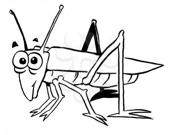 Royalty Free Clipart Image of a Grasshopper