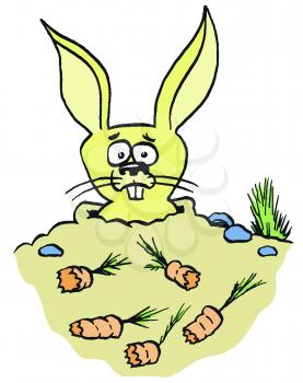 Royalty Free Clipart Image of a Rabbit With Eaten Carrots