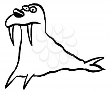 Royalty Free Clipart Image of a Walrus