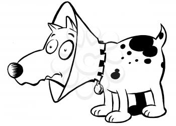 Royalty Free Clipart Image of a Dog Wearing a Cone