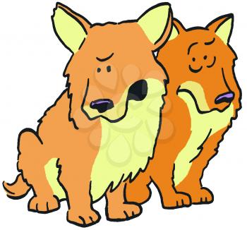 Royalty Free Clipart Image of Two Welsh Corgis