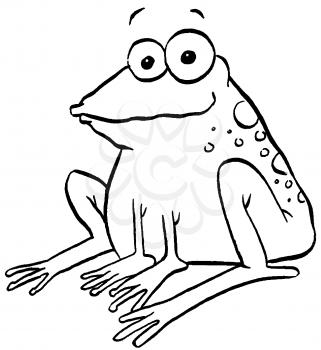 Royalty Free Clipart Image of a Frog