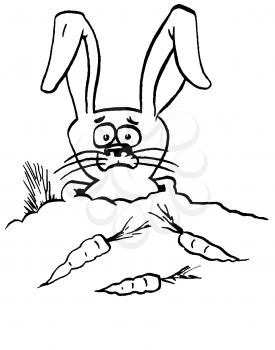 Royalty Free Clipart Image of a Rabbit and Carrots
