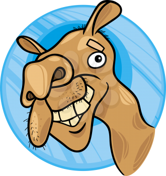 Royalty Free Clipart Image of a Camel's Face