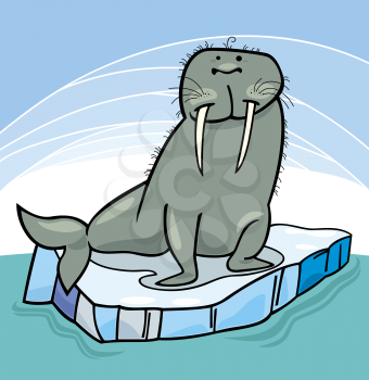 Royalty Free Clipart Image of a Walrus on an Ice-Flow