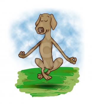 Royalty Free Clipart Image of a Meditating and Levitating Dog