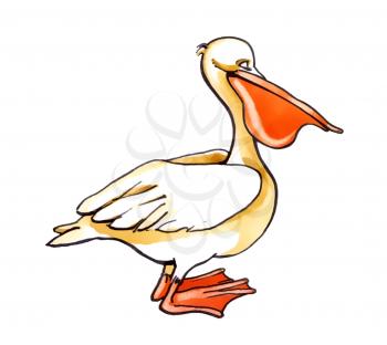 Royalty Free Clipart Image of a Pelican