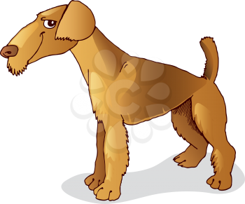 Royalty Free Clipart Image of an Airedale Terrier