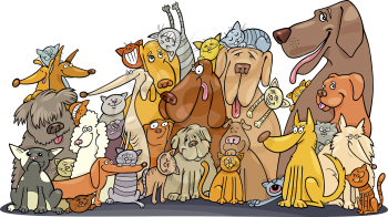 Royalty Free Clipart Image of a Group of Dogs and Cats