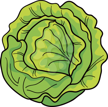 Royalty Free Clipart Image of a Cabbage
