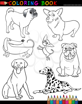 Coloring Book or Page Cartoon Illustration of Funny Purebred Dogs for Children