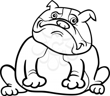 Cartoon Illustration of Funny Purebred English Bulldog Dog for Coloring Book