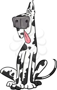 Cartoon Illustration of Funny Purebred Spotted Harlequin Dog