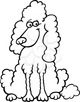 Cartoon Illustration of Funny Purebred White Poodle for Coloring Book