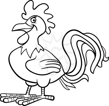 Black and White Cartoon Illustration of Funny Rooster Farm Bird Animal for Coloring Book