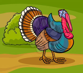 Cartoon Illustration of Funny Comic Turkey Farm Bird Animal