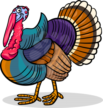 Cartoon Illustration of Funny Turkey Farm Bird Animal