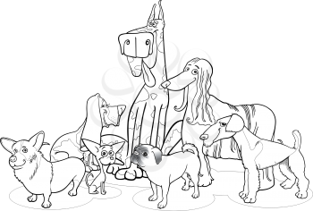 Black and White Cartoon Illustration of Cute Purebred Dogs or Puppies Group for Coloring Book