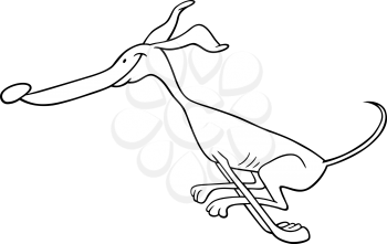 Cartoon Illustration of Funny Purebred Running Greyhound Dog for Coloring Book or Coloring Page