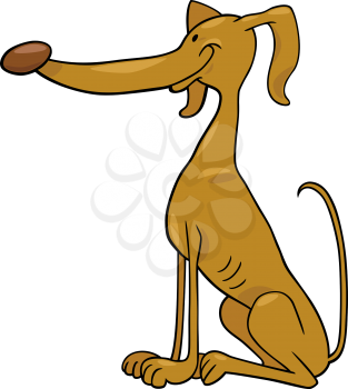 Cartoon Illustration of Funny Greyhound Dog Pet