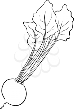 Black and White Cartoon Illustration of Beet Vegetable Food Object for Coloring Book