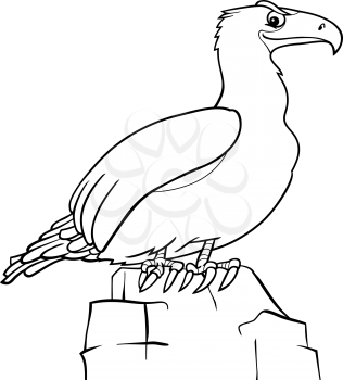 Black and White Cartoon Illustration of Eagle Bird for Coloring Book