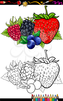 Coloring Book or Page Cartoon Illustration of Four Berry Fruits like Blueberry and Blackberry and Raspberry and Strawberry Food Group for Children Education
