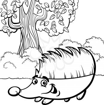 Black and White Cartoon Illustration of Cute Hedgehog Wild Animal for Coloring Book