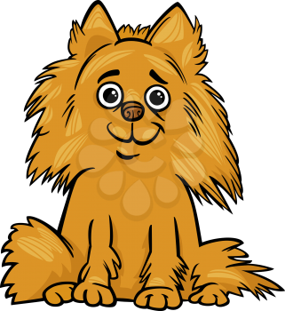 Cartoon Illustration of Cute Shaggy Purebred Pomeranian Dog