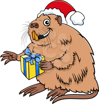 Cartoon illustration of coypu or nutria animal character with present on Christmas time