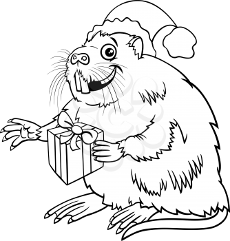 Black and white cartoon illustration of coypu or nutria animal character with present on Christmas time coloring book page
