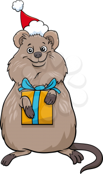 Cartoon illustration of quokka animal character with present on Christmas time