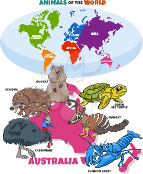 Educational cartoon illustration of typical Australian animal species and world map with continents