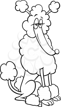 Black and white cartoon illustration of poodle purebred dog animal character coloring book page
