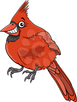 Cartoon illustration of funny northern red cardinal bird animal character