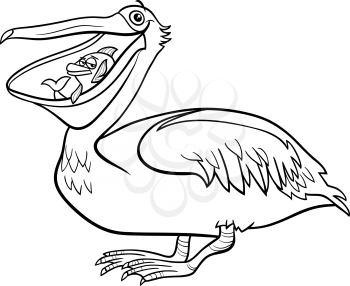 Black and white cartoon illustration of funny pelican bird animal character with fish coloring book page