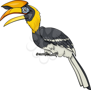 Cartoon illustration of funny hornbill bird comic animal character