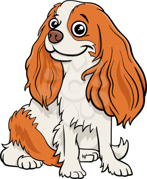 Cartoon illustration of Cavalier King Charles Spaniel purebred dog animal character