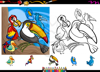 Cartoon Illustrations of Funny Colorful Birds Characters Group for Coloring Book with Elements Set