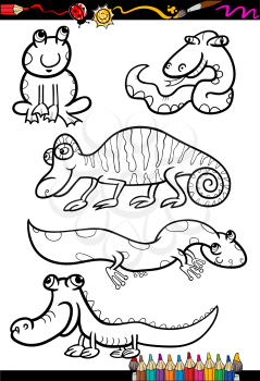 Coloring Book or Page Cartoon Illustration Set of Black and White Reptiles and Amphibian Animals Characters for Children