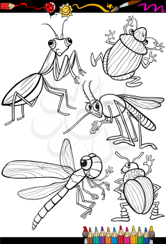 Coloring Book or Page Cartoon Illustration Set of Black and White Insects and Bugs for Children