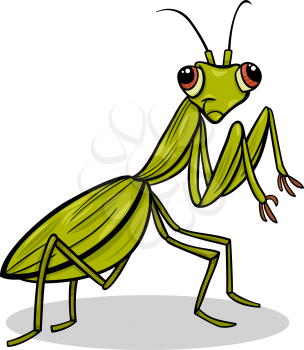 Cartoon Illustration of Funny Mantis Insect Character