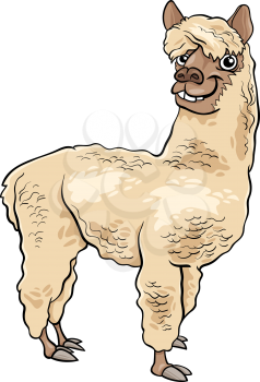 Cartoon Illustration of Funny Alpaca Farm Animal