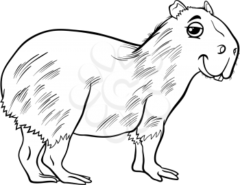 Black and White Cartoon Illustration of Funny Capybara Animal for Coloring Book